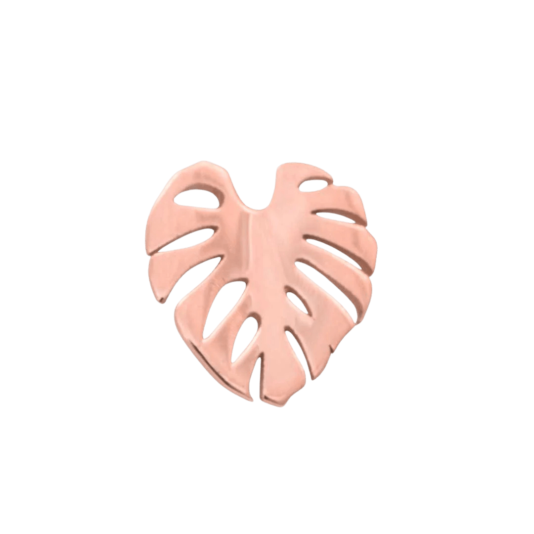 Close-up of solid gold Monstera piercing jewelry