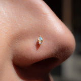 Daydream in Yellow Gold – Studio Product Shot