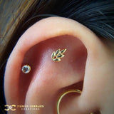 Fernanda 14K Gold Threadless End – Front View