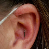 Two Sizes of Shelly D Shell Bar in Yellow Gold – Close-Up
