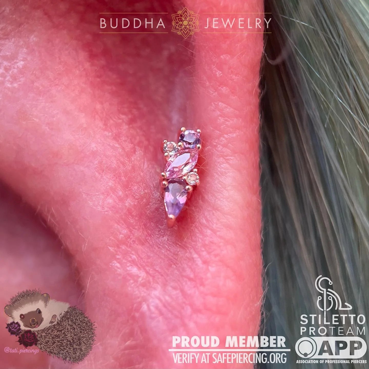 Multi-Gem Cluster Design of Visionary – Close-Up Detail