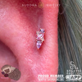 Multi-Gem Cluster Design of Visionary – Close-Up Detail