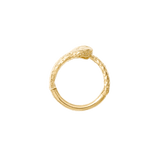 Ouroboros ring laid flat to show circular mythological design