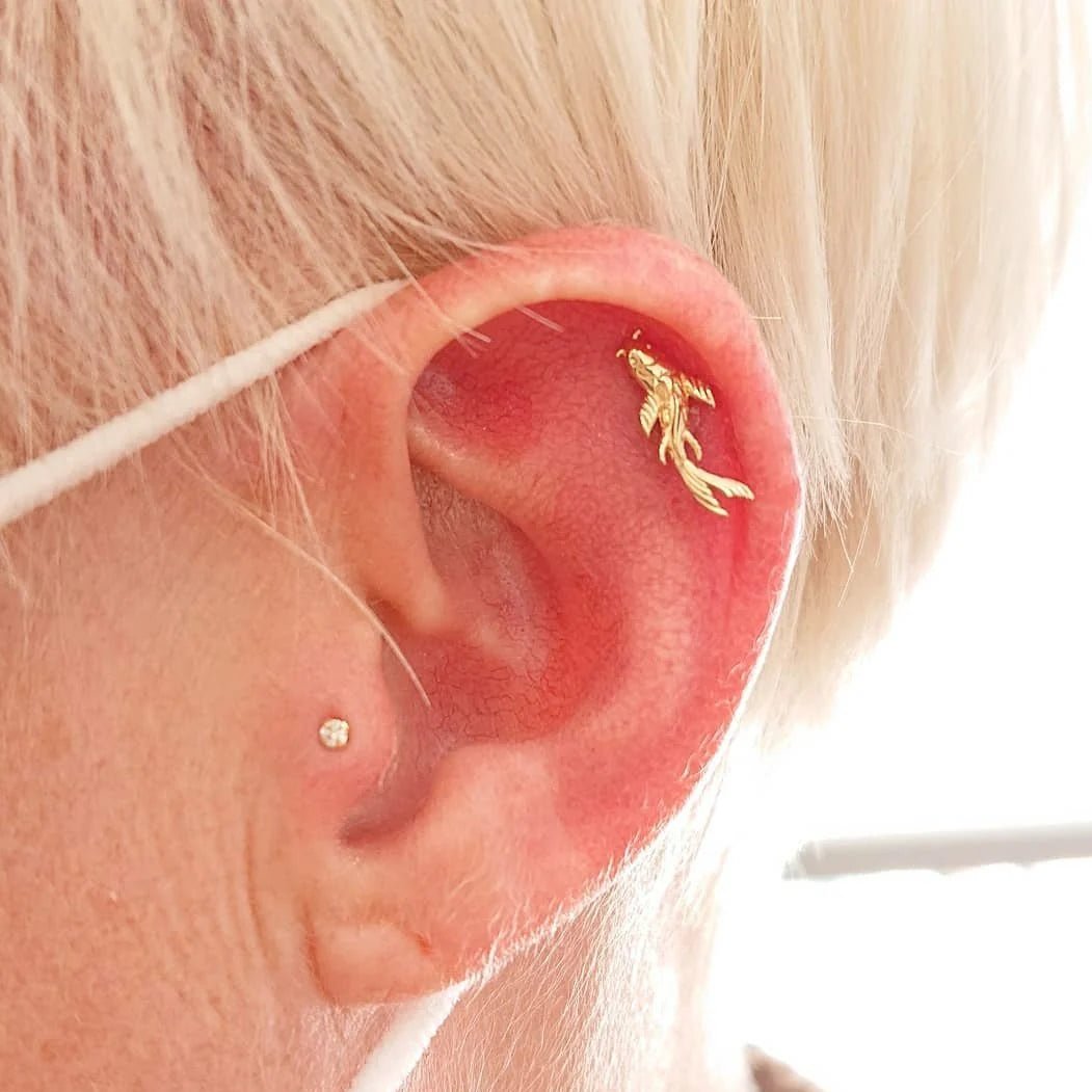 Model Wearing Koi in Helix Piercing – Fluid, Artistic Styling