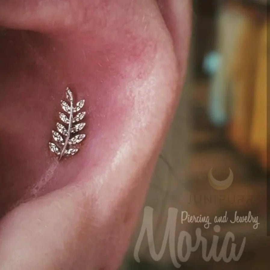 Willow End in Yellow Gold – Macro Studio Shot