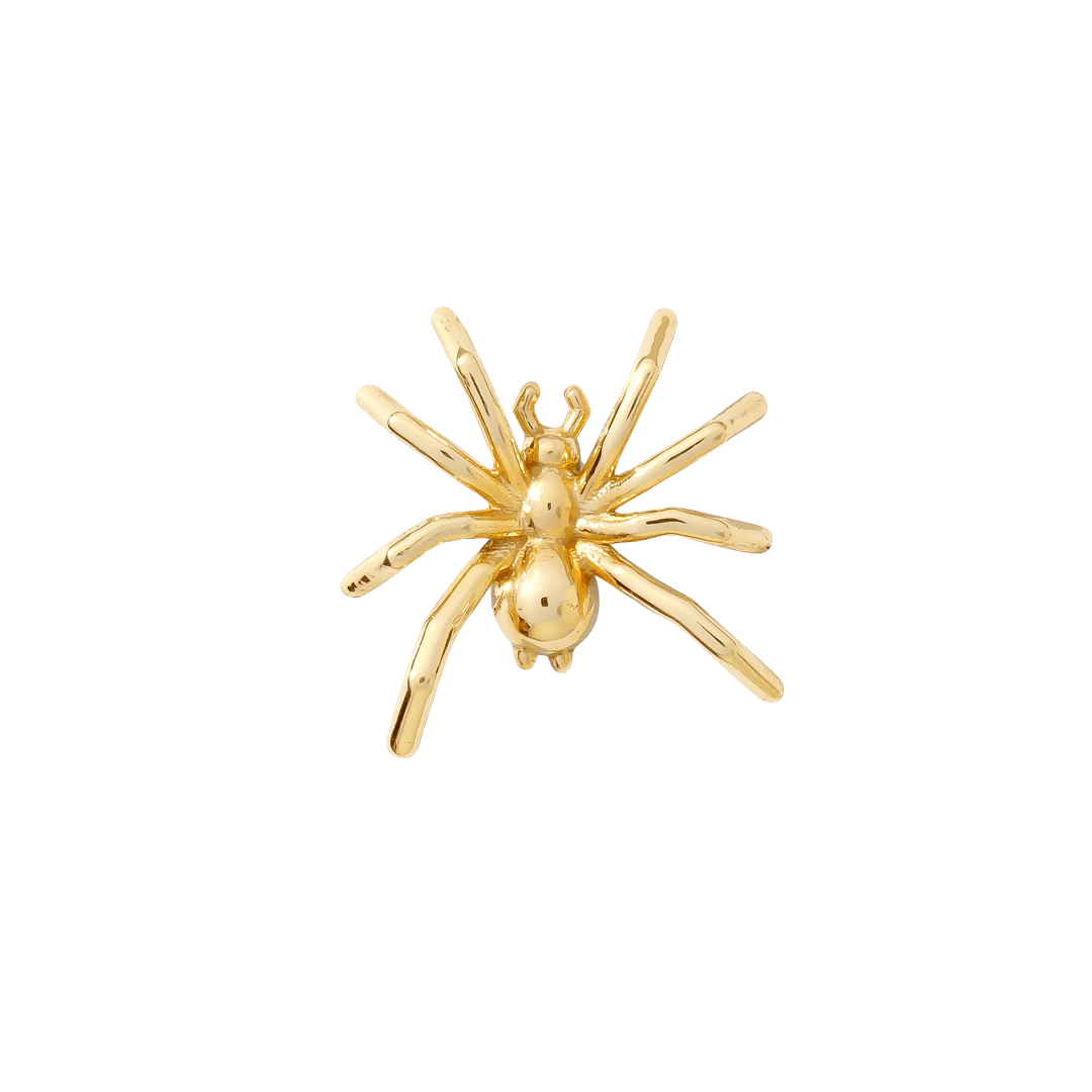 Spider Pin in 14K yellow gold on white background