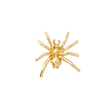 Spider Pin in 14K yellow gold on white background