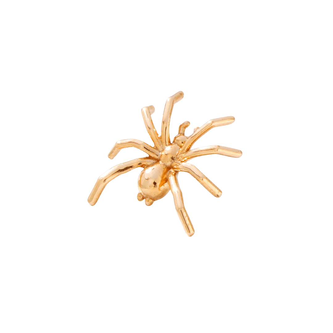 Styled image of Spider Pin in flat lay with moody lighting