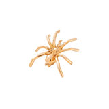 Styled image of Spider Pin in flat lay with moody lighting