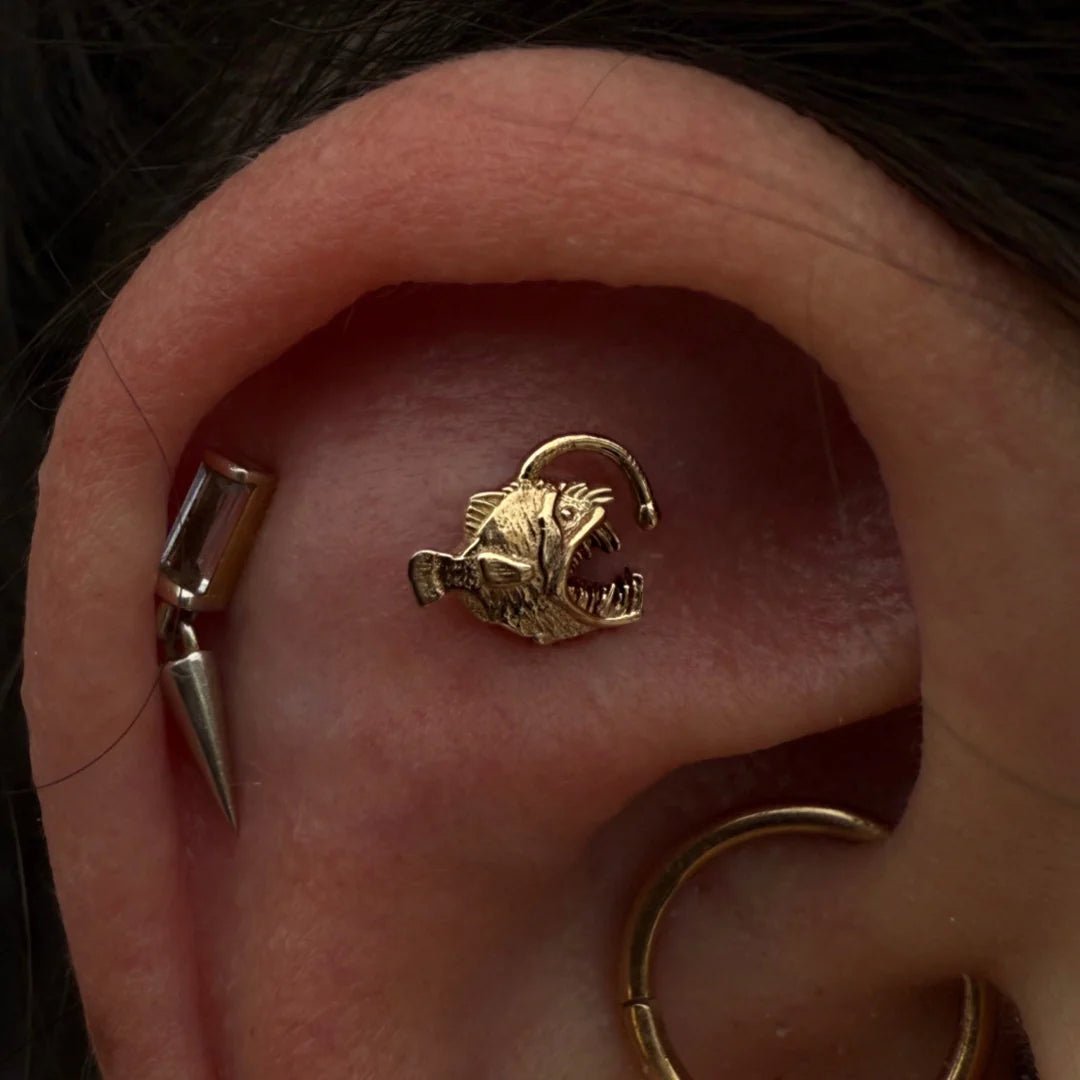 Anglerfish – 14K Gold Threadless & Threaded End - piercing - zone.com