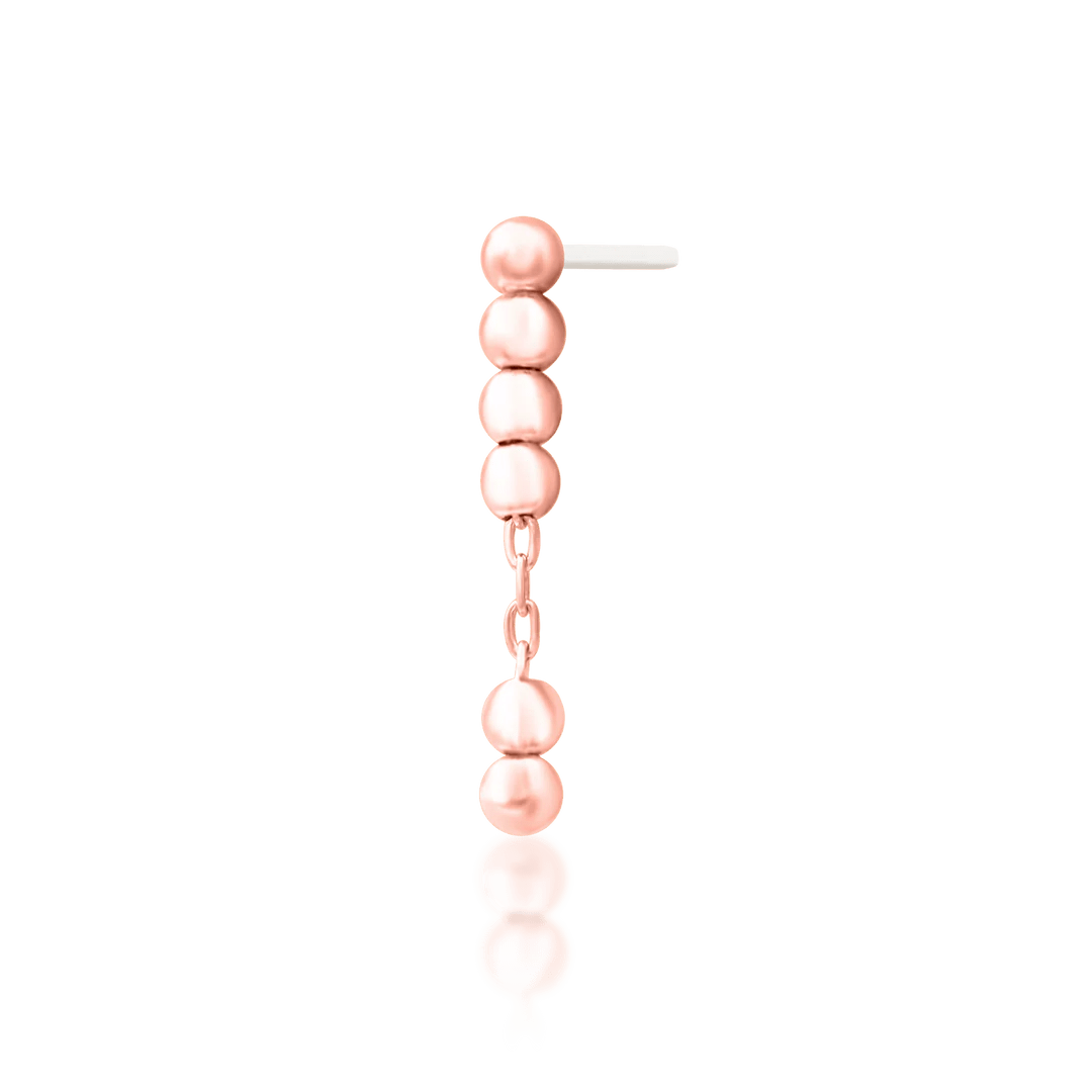 Styled photo of Lennon on clicker or stud – subtle chain movement