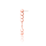 Styled photo of Lennon on clicker or stud – subtle chain movement