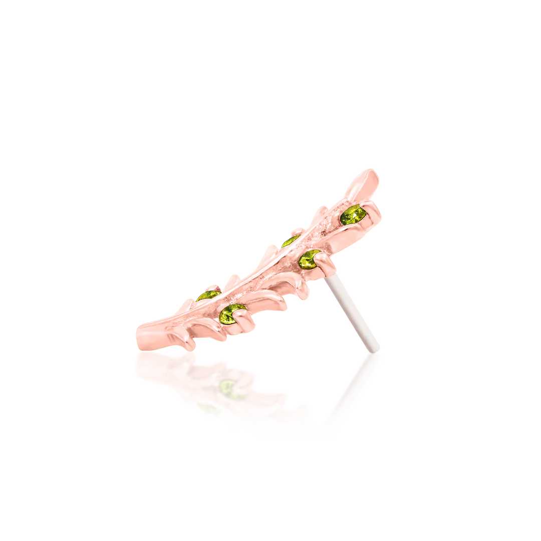Olive Branch – Peridot CZ Curve – 14K Gold Threadless End