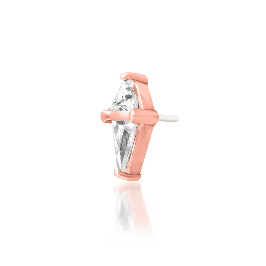 Styled ear with Point Taken – bold flat piercing accent