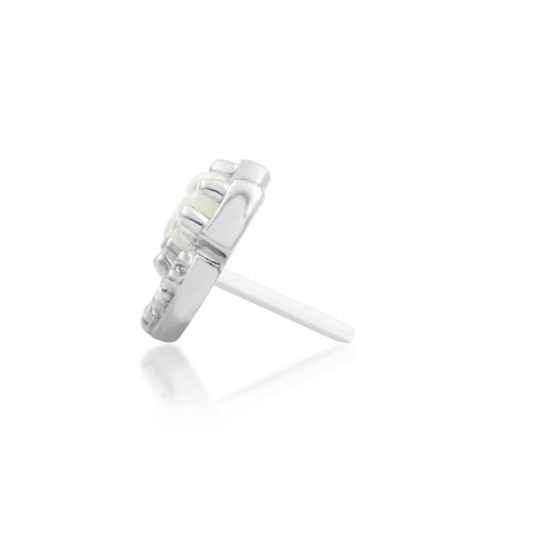 Chevry Chevron End displayed on white background with gold reflections