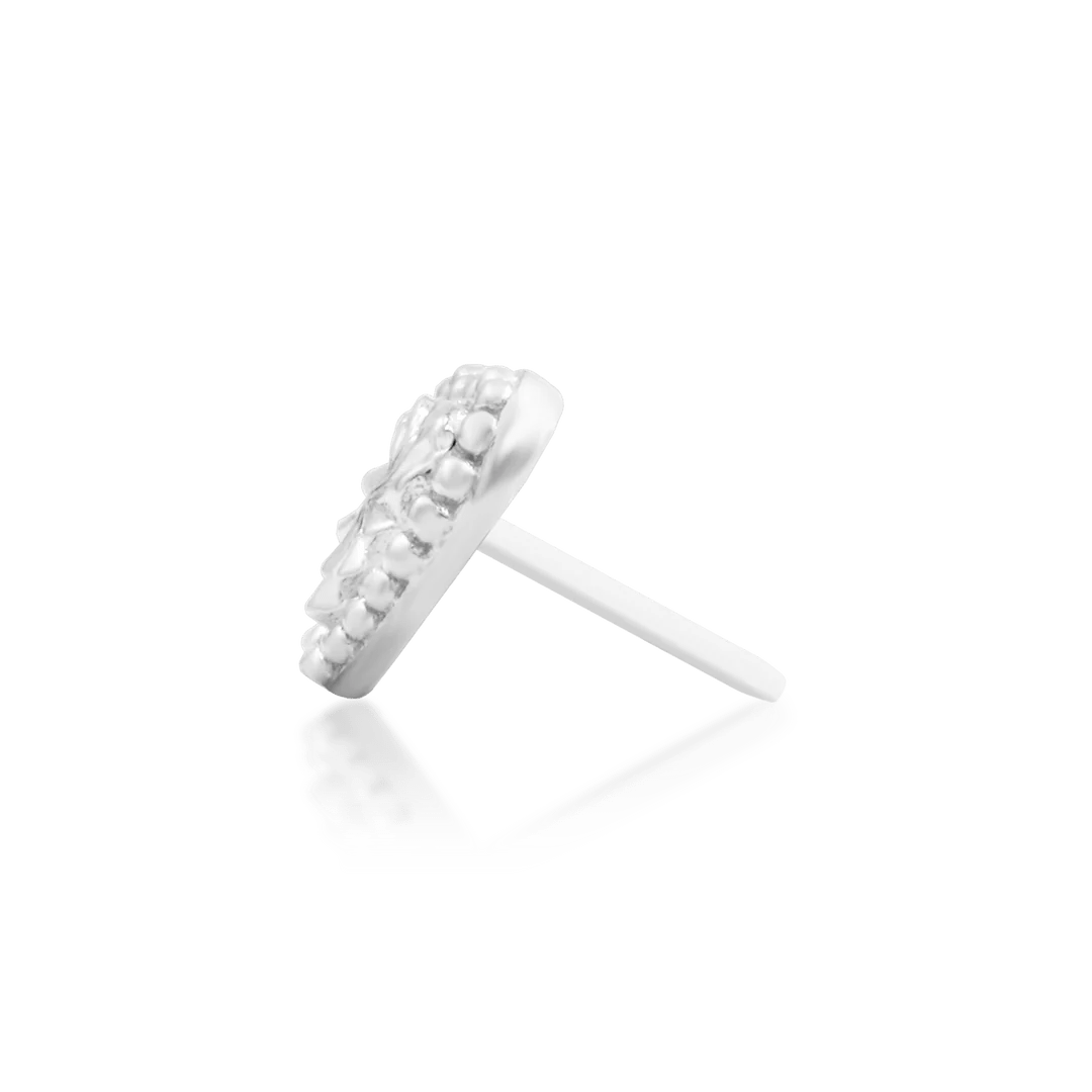 Lara Threadless End Displayed with Conch and Tragus Jewelry – Coordinated Styling