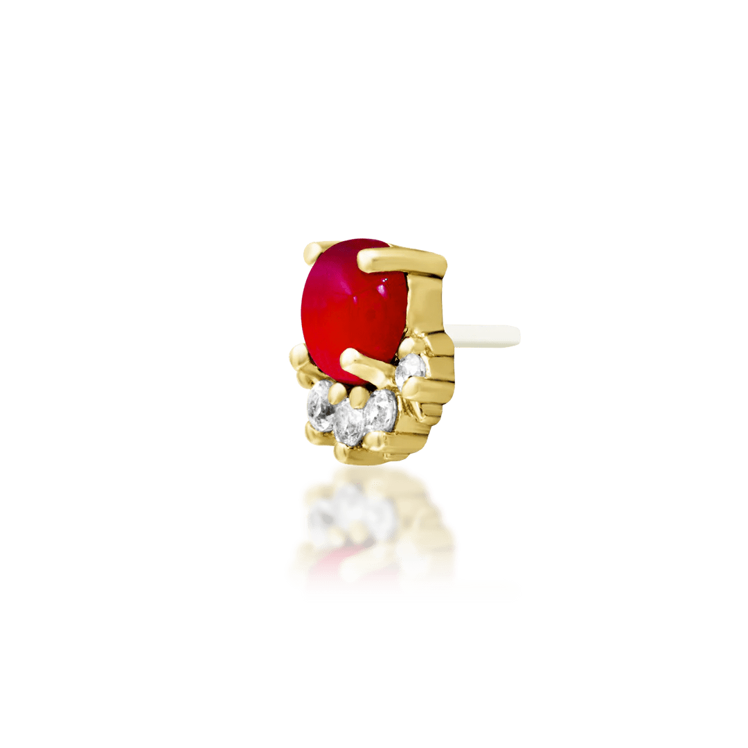 Top-down image of Rolina – balanced round shape and refined texture