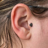 Scene Bee – Black Rhodium – 14K Gold Threadless End - piercing - zone.com