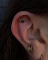 Scene – Death’s - Head Moth – 14K Rhodium Black Gold Threadless End - piercing - zone.com