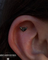 Scene – Death’s - Head Moth – 14K Rhodium Black Gold Threadless End - piercing - zone.com