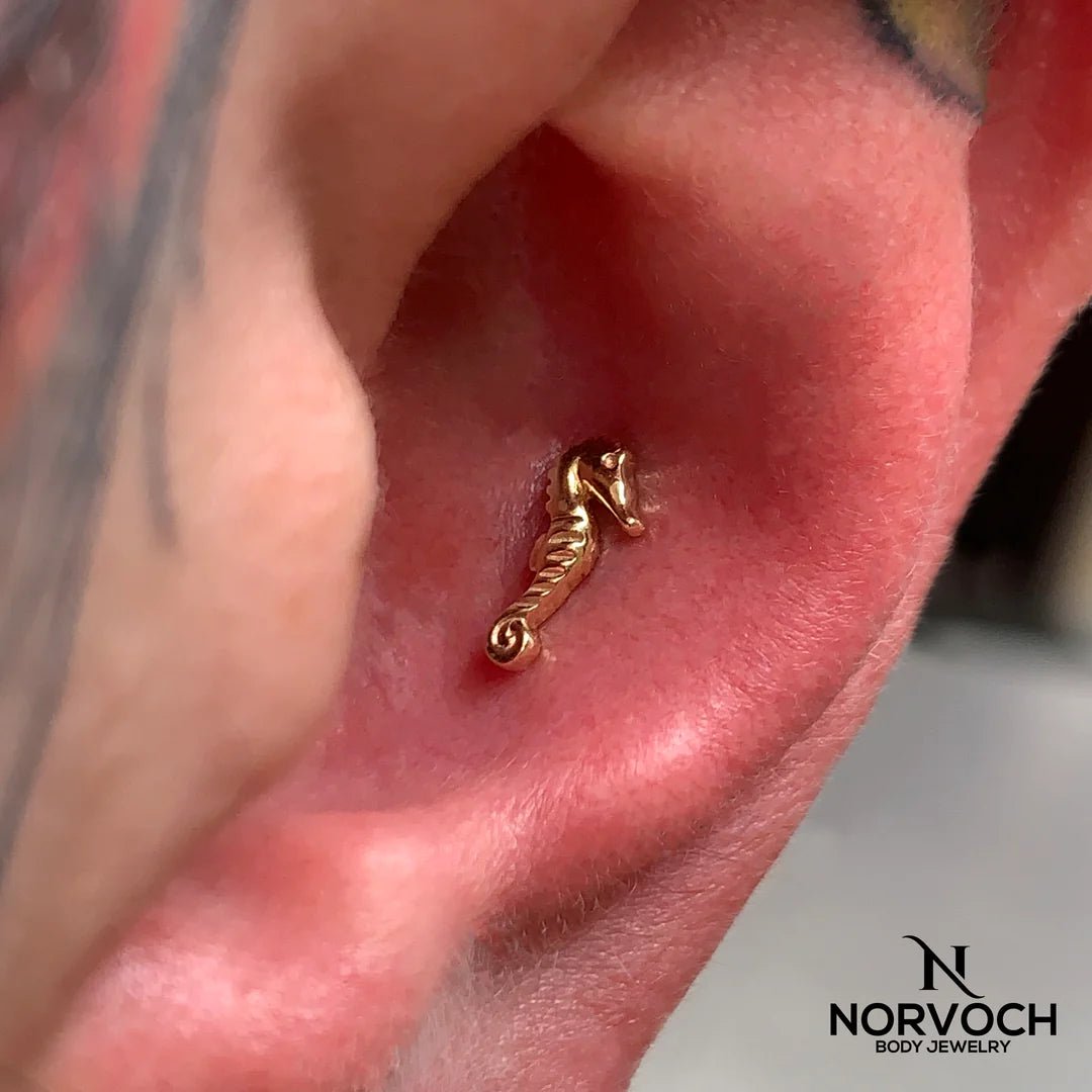 Sea Horse – 14K Gold Threadless & Threaded End - piercing - zone.com