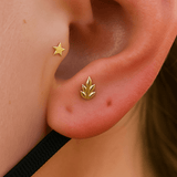 Solid Gold Star – 14K Gold Threadless End - piercing - zone.com