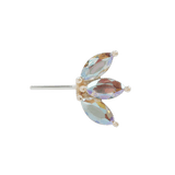 Moet Threadless End Displayed in Conch Piercing – Statement Look