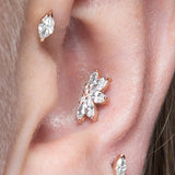 APP-certified conch piercing rings in gold and titanium – hypoallergenic & safe