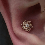 Conch - piercing-zone.com