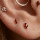 EARLOBE - piercing-zone.com