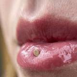 Lip - piercing-zone.com