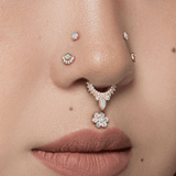 Nose Looks - piercing-zone.com