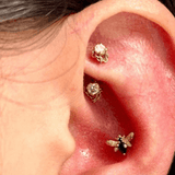 Rook - piercing-zone.com