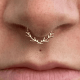 Septum - piercing-zone.com