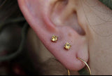 CITRINE PRONG - THREADLESS END piercing-zone.com