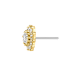 13 Stone Round Cluster – 14K Gold Threadless/Threaded End