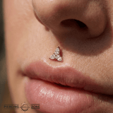 3 Little Pears – CZ Trio – 14K Gold Threadless End - piercing - zone.com