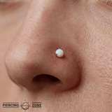3-Prong Faux-pal - 18K Gold Opal Threadless/Threaded End - piercing-zone.com