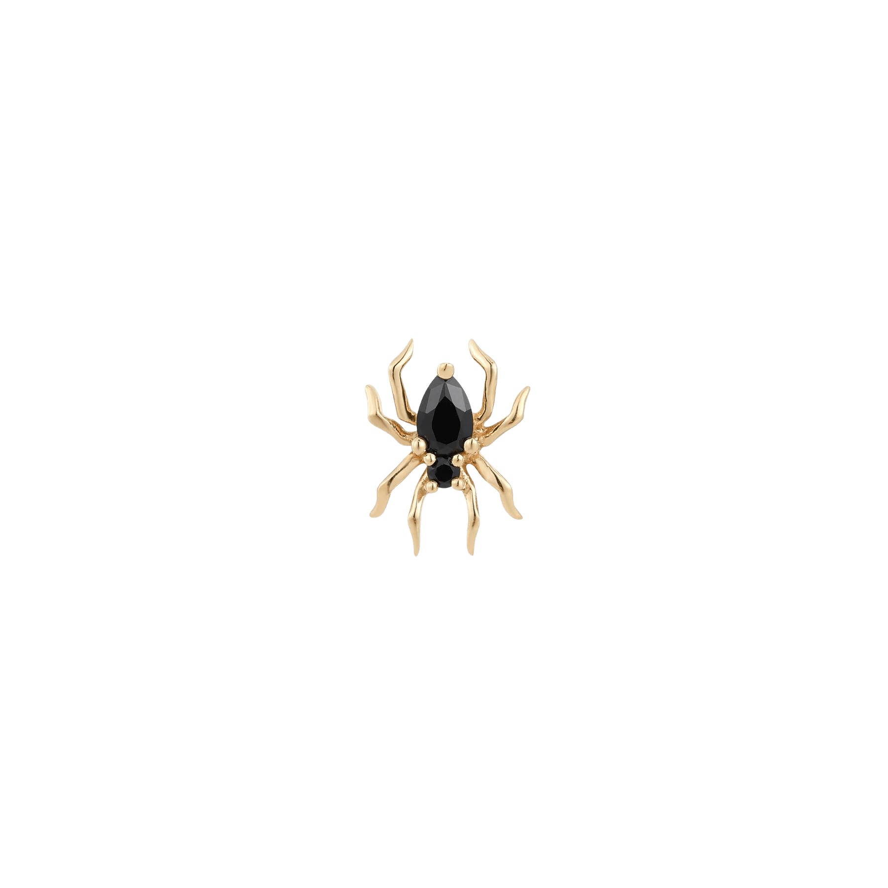 ARACHNE - BLACK SPINEL - THREADLESS END piercing-zone.com