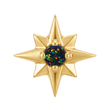 8 Point Burst - 14K Gold Stone Threadless/Threaded End