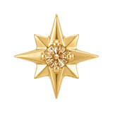 8 Point Burst - 14K Gold Stone Threadless/Threaded End
