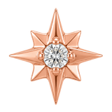 8 Point Burst - 14K Gold Stone Threadless/Threaded End