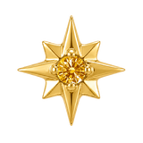 8 Point Burst - 14K Gold Stone Threadless/Threaded End