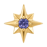 8 Point Burst - 14K Gold Stone Threadless/Threaded End