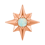 8 Point Burst - 14K Gold Stone Threadless/Threaded End