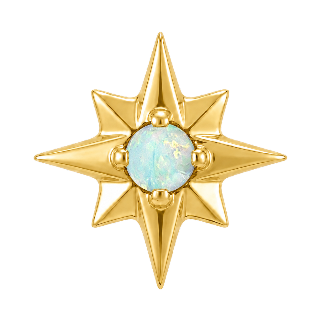 8 Point Burst - 14K Gold Stone Threadless/Threaded End