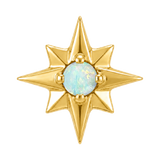 8 Point Burst - 14K Gold Stone Threadless/Threaded End