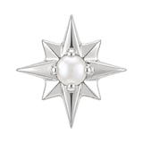 8 Point Burst - 14K Gold Stone Threadless/Threaded End