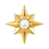 8 Point Burst - 14K Gold Stone Threadless/Threaded End