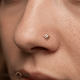 8 Point Burst - 14K Gold Stone Threadless/Threaded End - piercing - zone.com